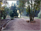 foto Parco di Villa Borghese